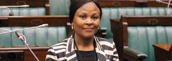 image-mkhwebane