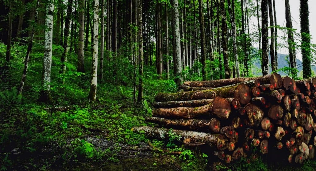 Logging industry