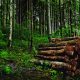 Logging industry