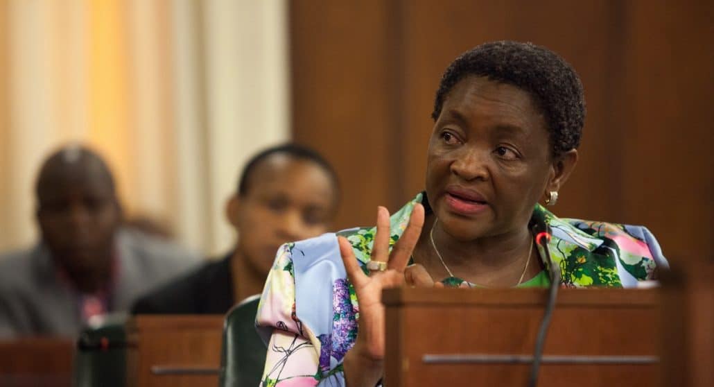 Minister of Social Development Bathabile Dlamini apperars before Parliament's standing committee on public accounts (SCOPA) in the Old Assembly in Parliament. Dlamini was asked before SCOPA to discuss social grants