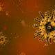 Viruses in the human body