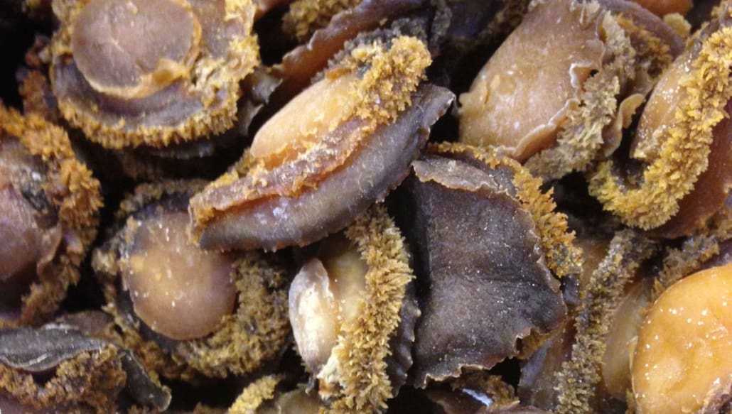 Dried perlemoen