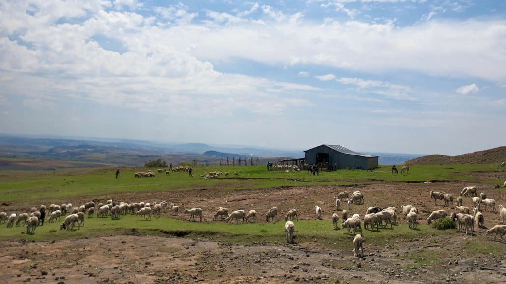 A Southern African farm landscape