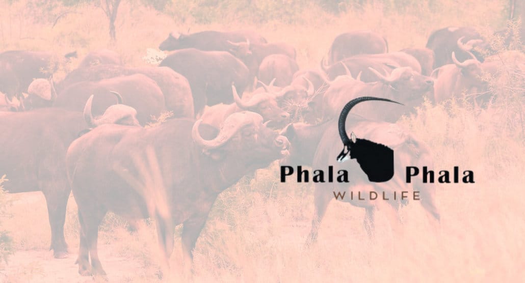 Logo of the Phala Phala game farm