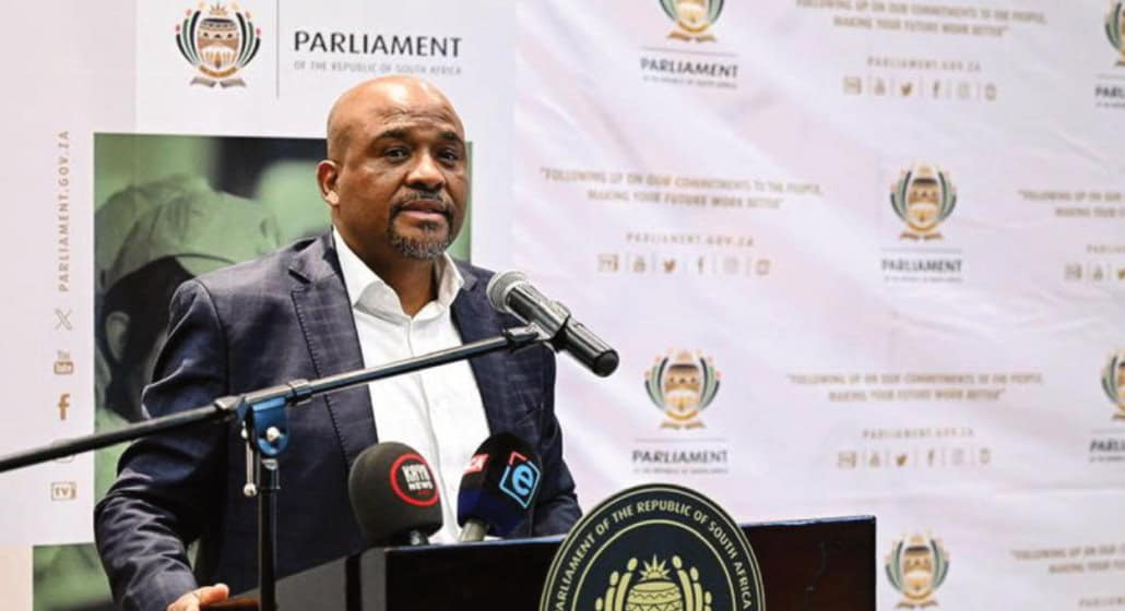 Parliamentary secretary Xolile George