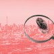 A magnifying glass examining a fingerprint, superimposed on a representation of the Johannesburg skyline