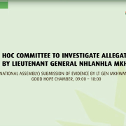 The cover image of the ad hoc committee to investigate the Mkhwanazi allegations