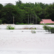 Flooding in Vereeniging - public domain image by Kevin Polden.