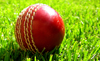 cricket-ball-grass-thumb.jpg