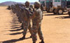 sandf-thumb.jpg