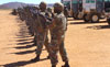 sandf-thumb.jpg