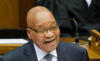 zuma2-thumb.jpg